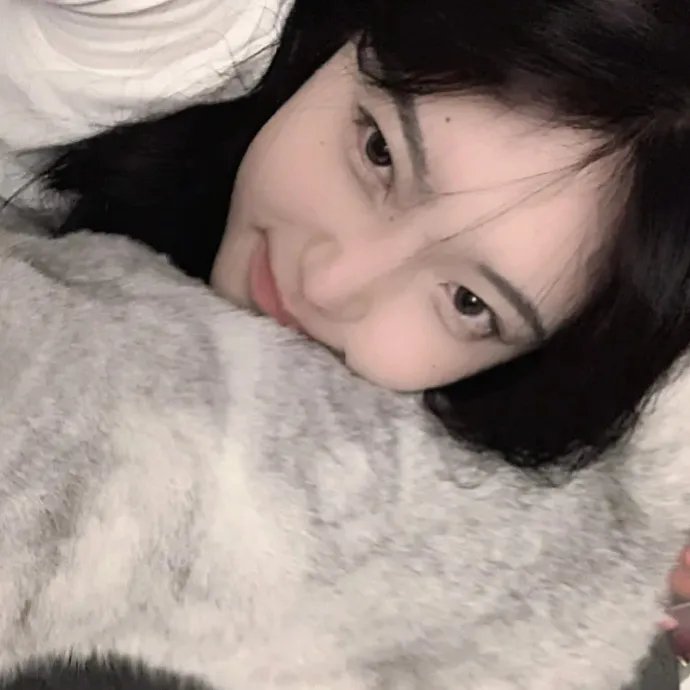 特洛伊奥德赛