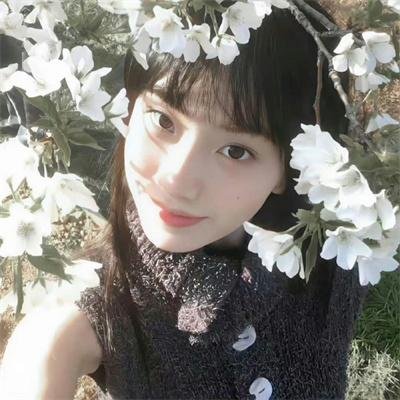 吉普车中的四人